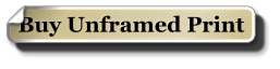 Buy Unframed Print