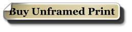 Buy Unframed Print
